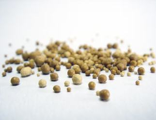 A close-up of small brown bits on a white surface, highlighting the texture and details of yeast extract